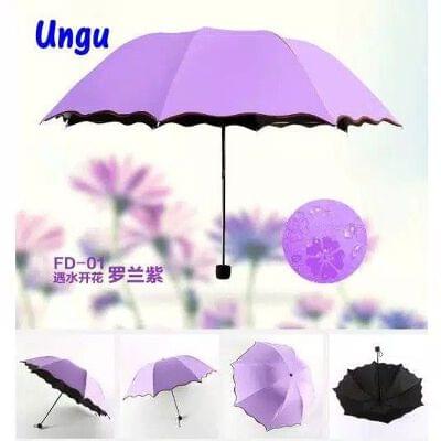 Magic Umbrella